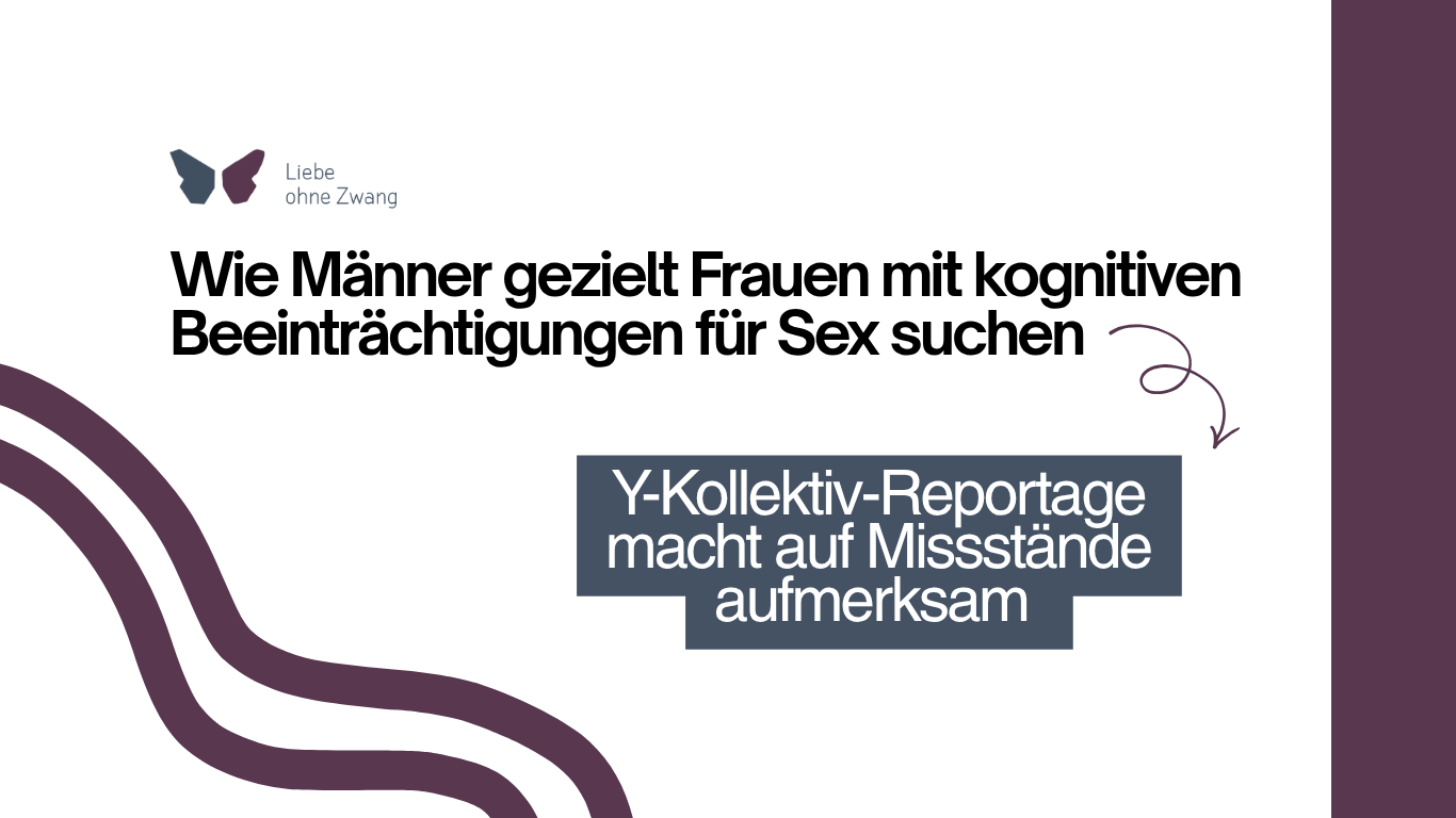 Beitrag Frauen mit Beeinträchtigungen für Sex YKollektiv